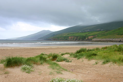 Dingle Bay (bei Inch, Irland)