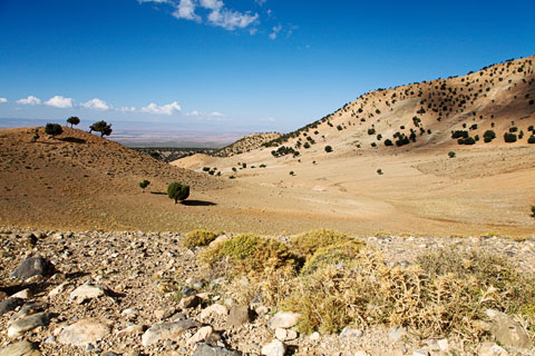 Blick auf Plateau de l'Arid (bei Midelt, Marokko)