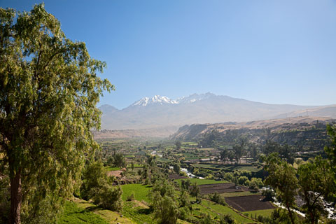 Blick auf den Vulkan Chachani nahe Arequipa (Peru)